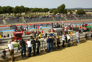 Starting Grid for Round 1, LMS 2011. Photo: Marcus Potts
