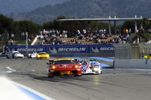 Sequence showing Mike Newton passing GT car. On the grid. Photo: Peter May, Dailysportscar